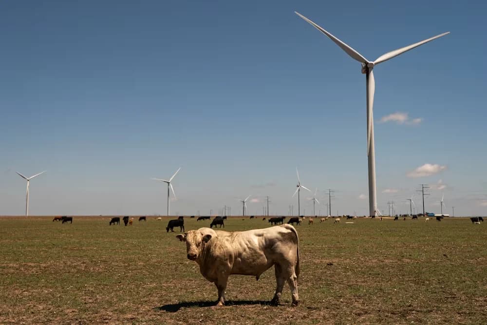 Texas First State to Run Entirely on Renewables for a Full Month