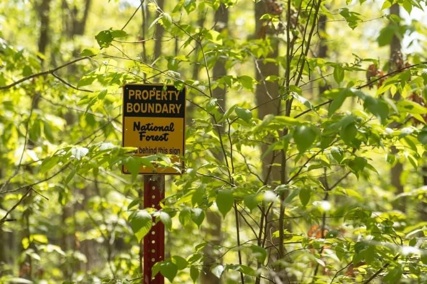 Federal Judge Halts Shawnee National Forest Logging Project Over Endangered Species Concerns
