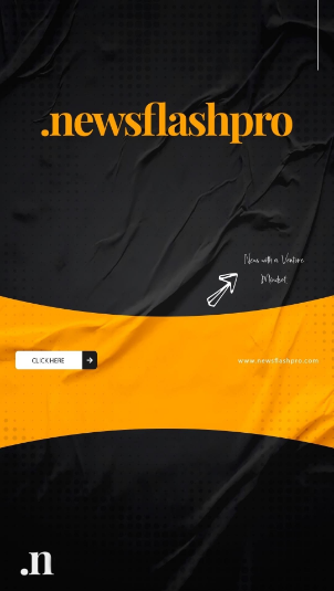 NewsFlashPro